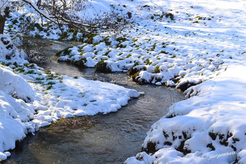 neige 5 2013 03 13