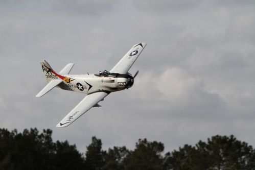 Skyraider