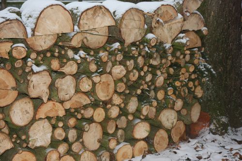 hiver2-copie-1