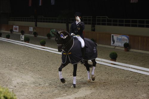 dressage