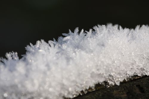 hiver10