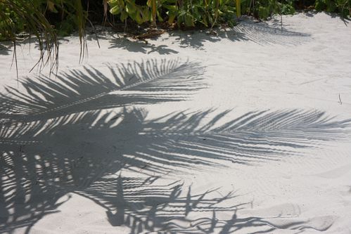 maldives-copie-1
