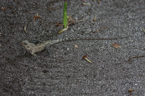 maldives2