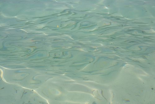 maldives4