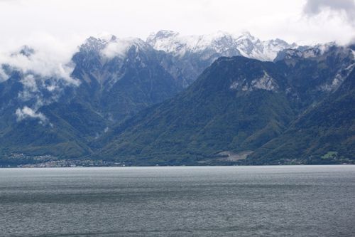img_0910.jpg