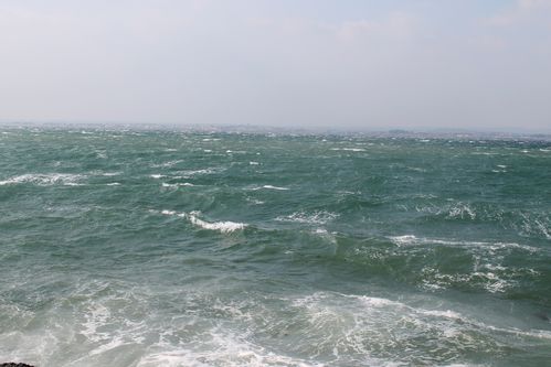 Sete-Etang9---23.02.2013.jpg