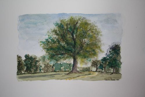 Aquarelle-1417.jpg