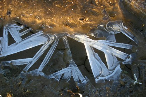 cristaux-de-glace 1263