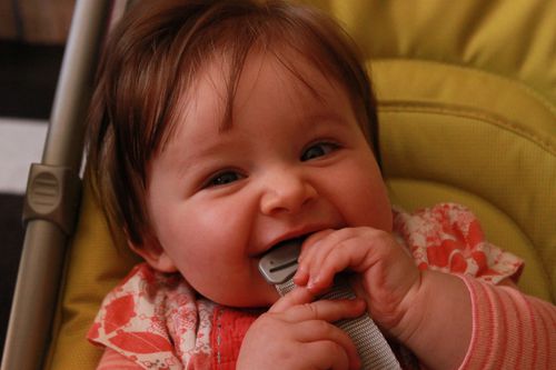 Images-1-4913.JPG