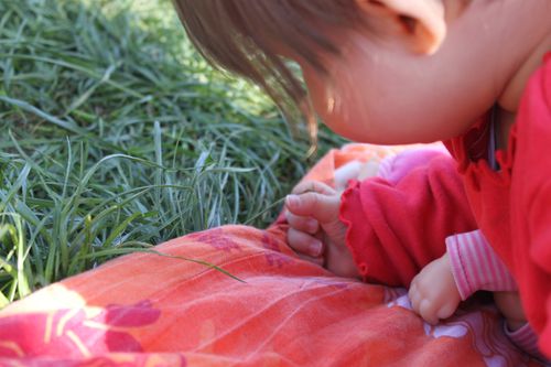 Images-1-5373.JPG