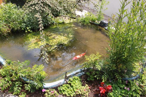 Images-1-5553.JPG