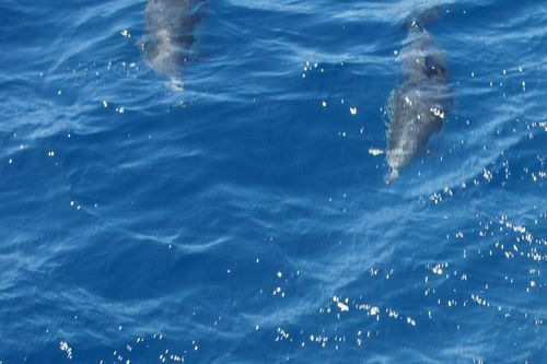DSC00319b