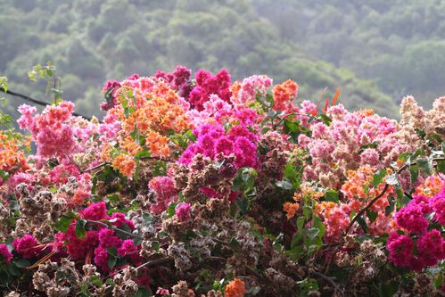 16-tour de Nuku Hiva 0057