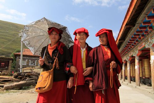 Pays-Kham 8033