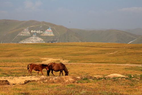 Pays-Kham 8173