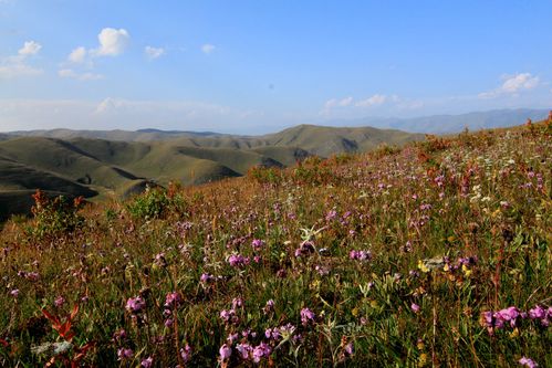 Pays-Kham 8432