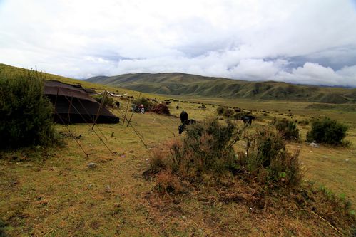 Pays-Kham 8657