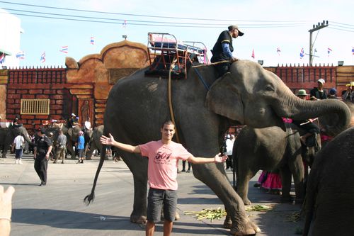 Surin-festival-des-elephants 3256