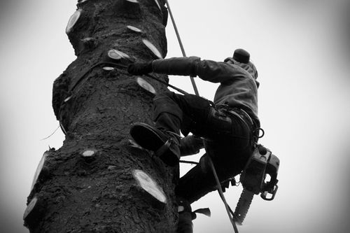 reportage-photos-par-agnes-g-photographe 9744