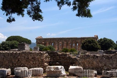 547b1 Paestum, temple de Neptune
