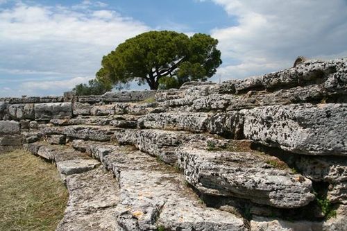 547e2 Paestum, le comitium