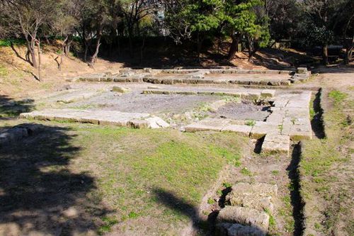 795e4 Athènes, dans les jardins de l'Académie de Platon