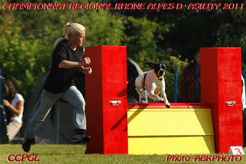 AGILITY-2011-099.JPG