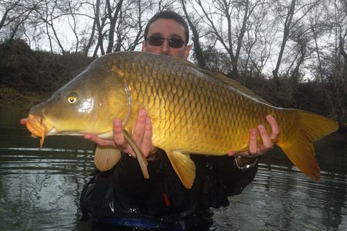 carpe_mouche_2012.jpg