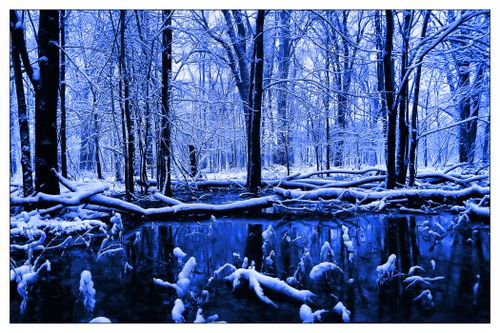 December_by_aquapell.jpg