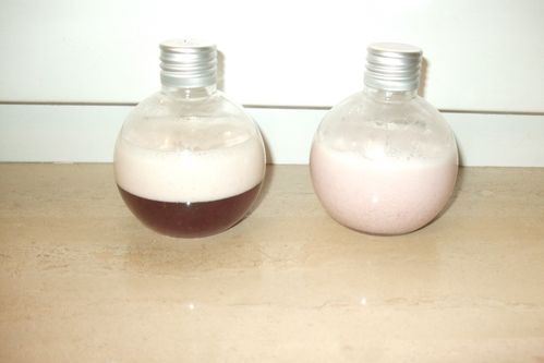 2010 0110gel0003