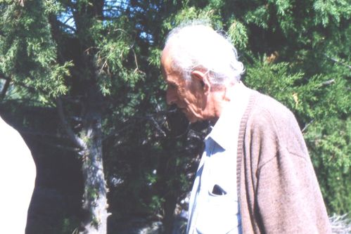 04.jpg