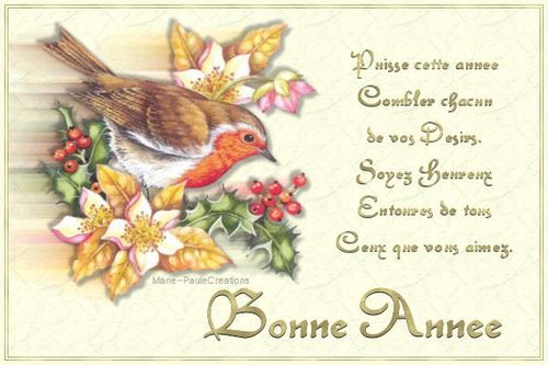 tina%20%281%29 Bonne Année