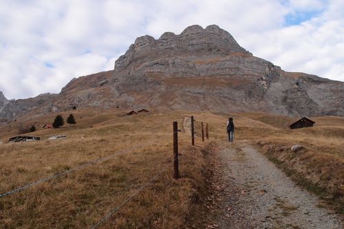 2011-11-21 Les 4 Têtes 02