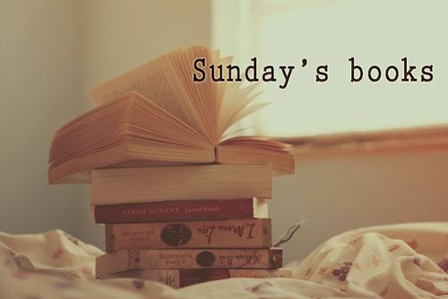 Sunday's Books copie