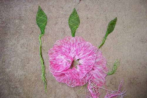100_0800.JPG