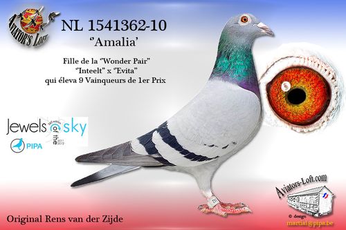 Amalia-362.jpg