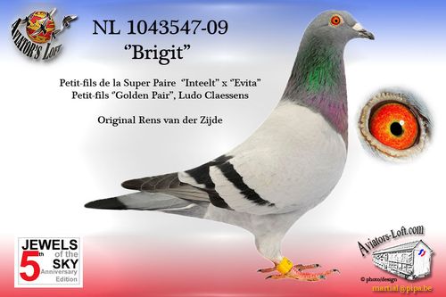 Brigit-547.jpg