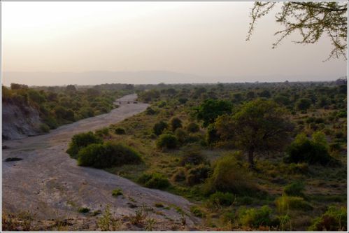 tarangire river camp