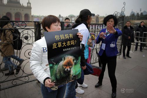 2014 anti-fourrure Beijing 7
