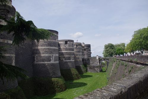 Château d'Angers 329