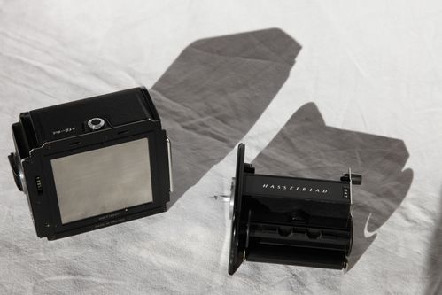 MG 7300