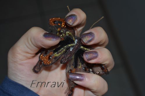 lm-braun-holo.JPG