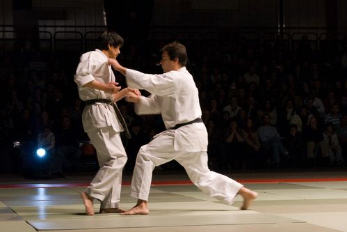 NAMT07 0021 Shukokai Karate