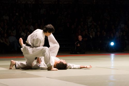 NAMT07 0024 Shukokai Karate