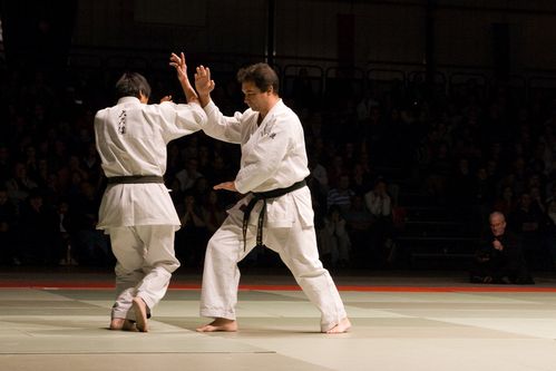 NAMT07 0025 Shukokai Karate