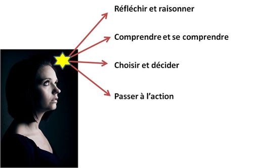 Dans Ma Tete Je Pense Mais Je N Arrive Pas A Agir Docteur Est Ce Grave Processus Croissance