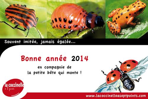 carte-de-voeux-2014-rougenoir.jpg