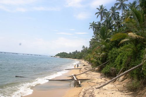 bord de plage