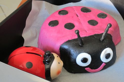 coccinelle-3D.JPG