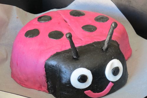 coccinelle1.JPG